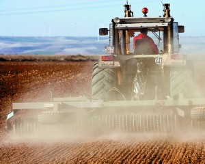 Suelo rústico se valora por la renta anual de la producción